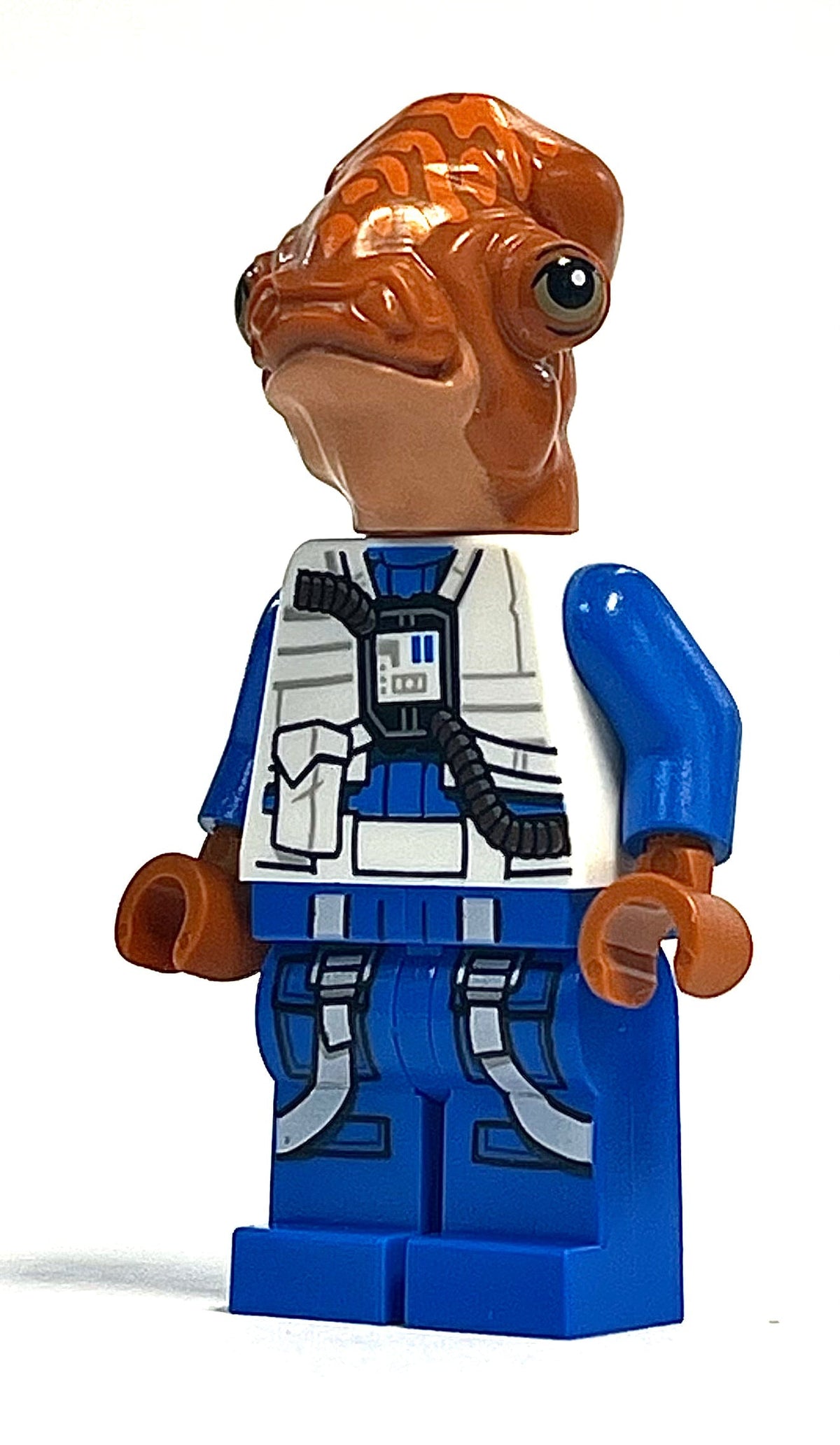 Lieutenant Beyta, sw1307