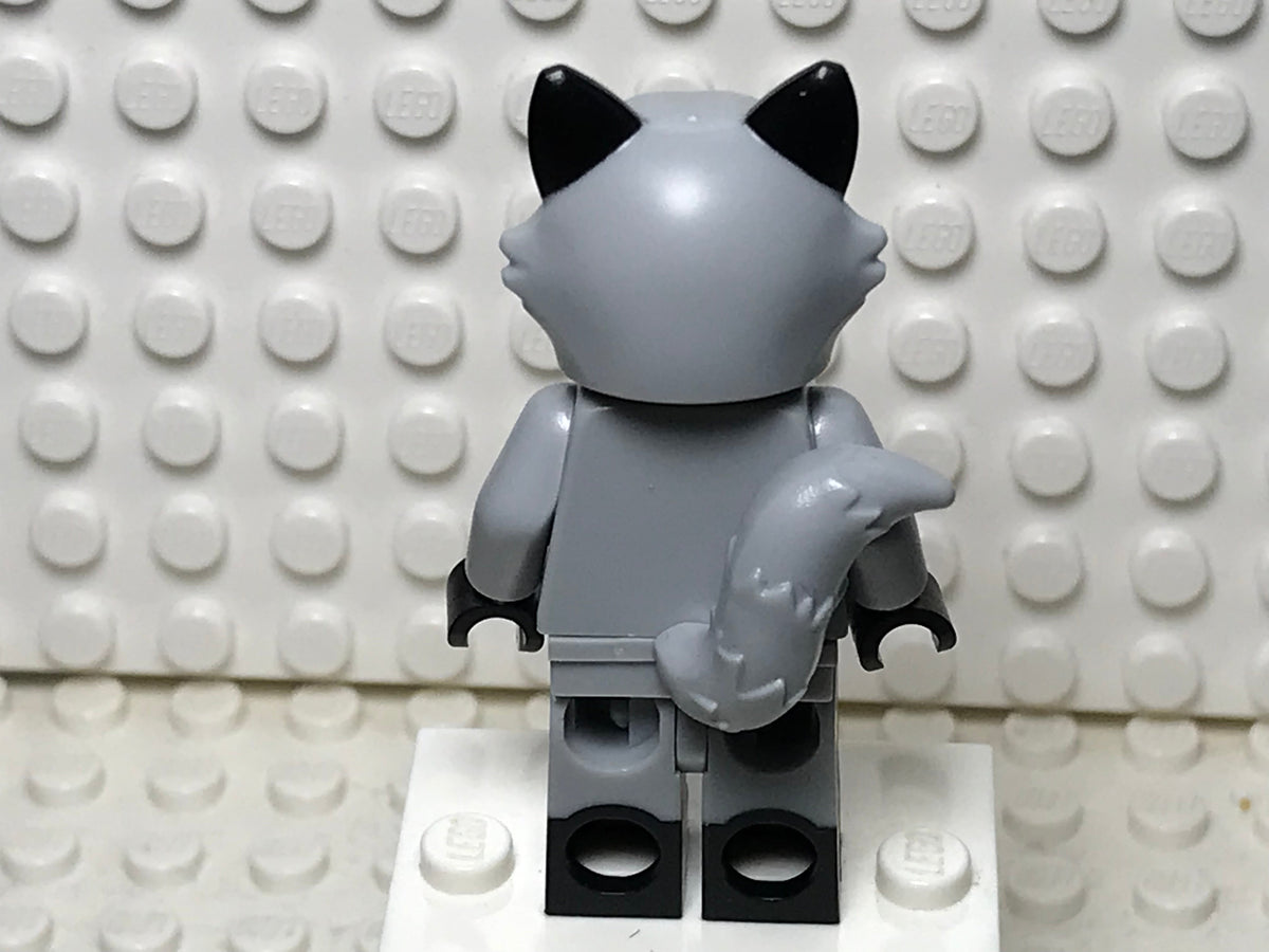 Raccoon Costume Fan, col22-10