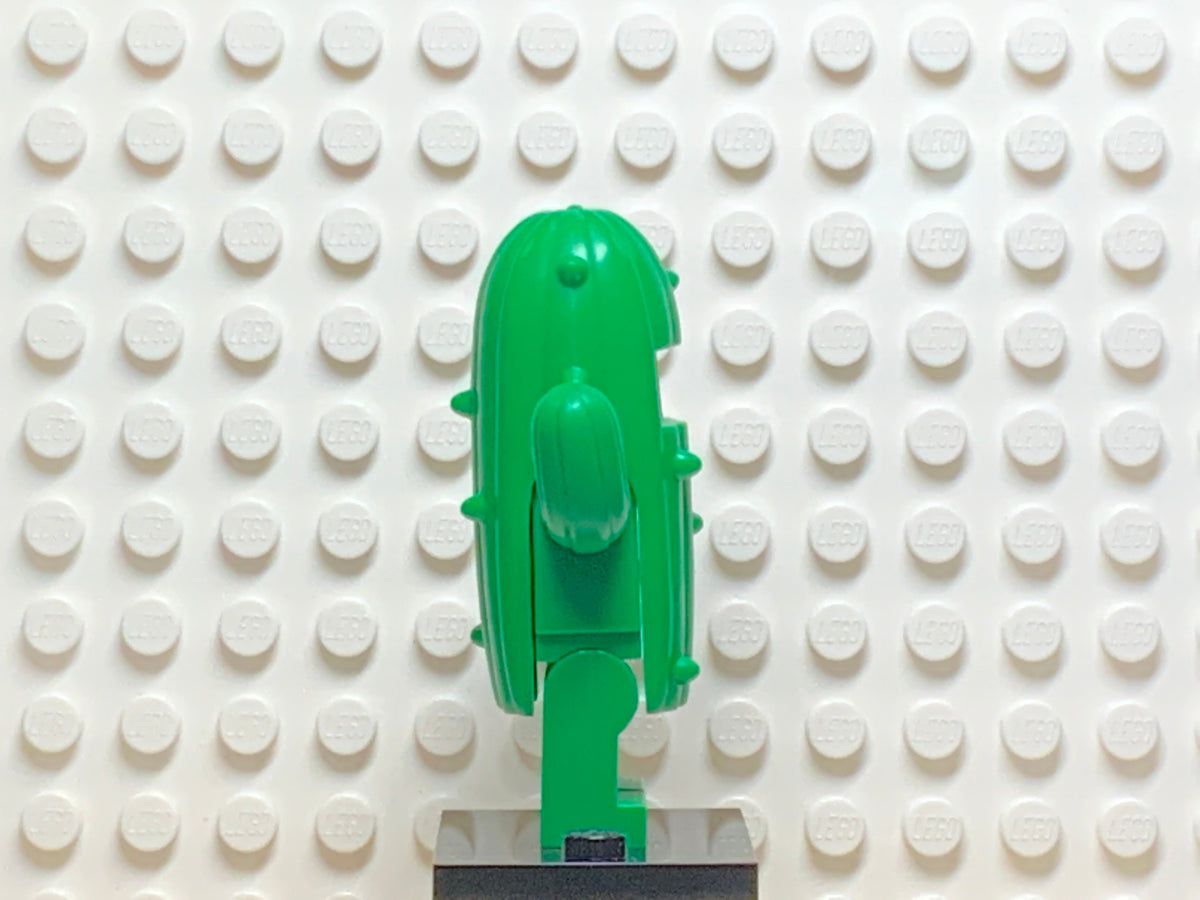 Cactus Girl, col18-11