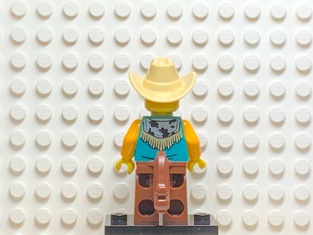 Cowboy Costume Guy, col18-15