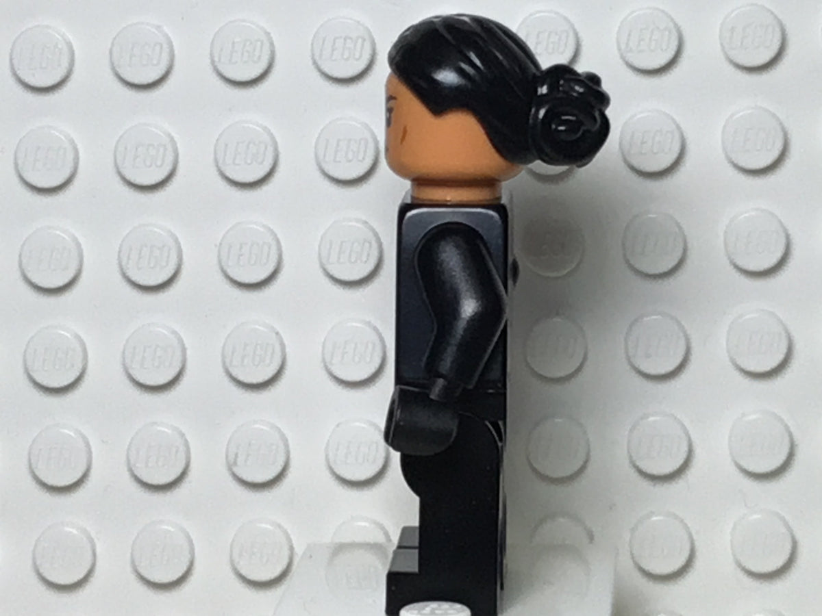 Iden Versio, sw1000