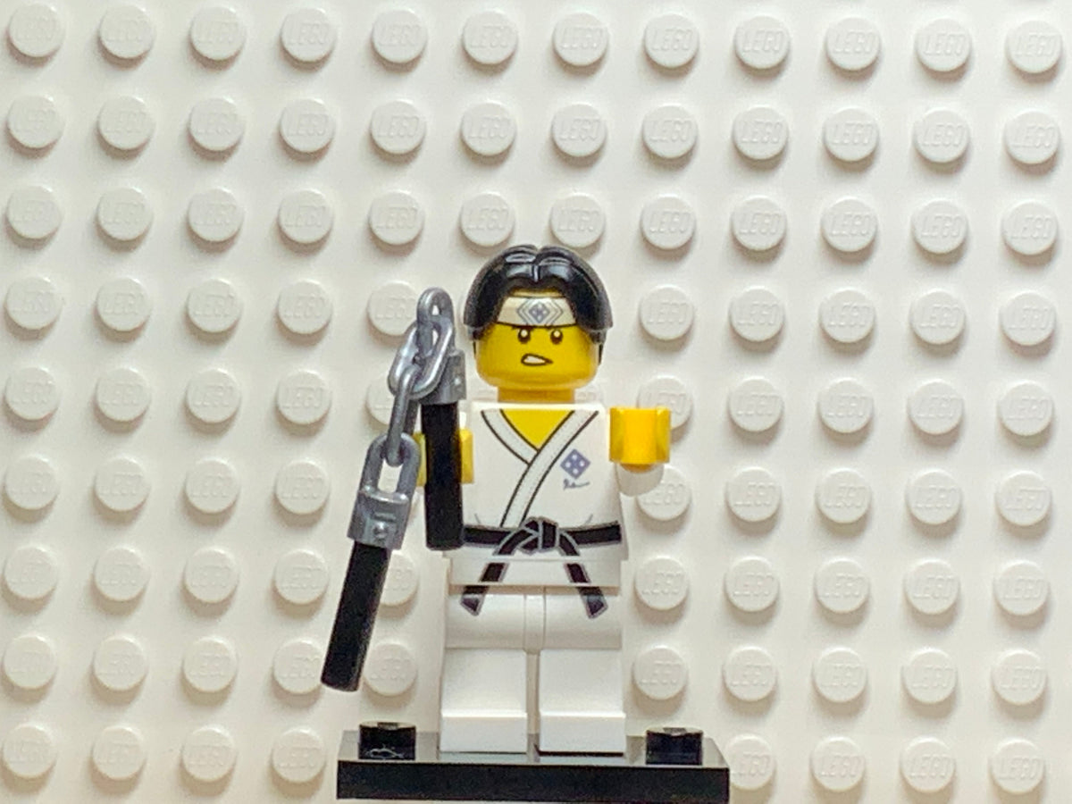 Martial Arts Boy, col20-10