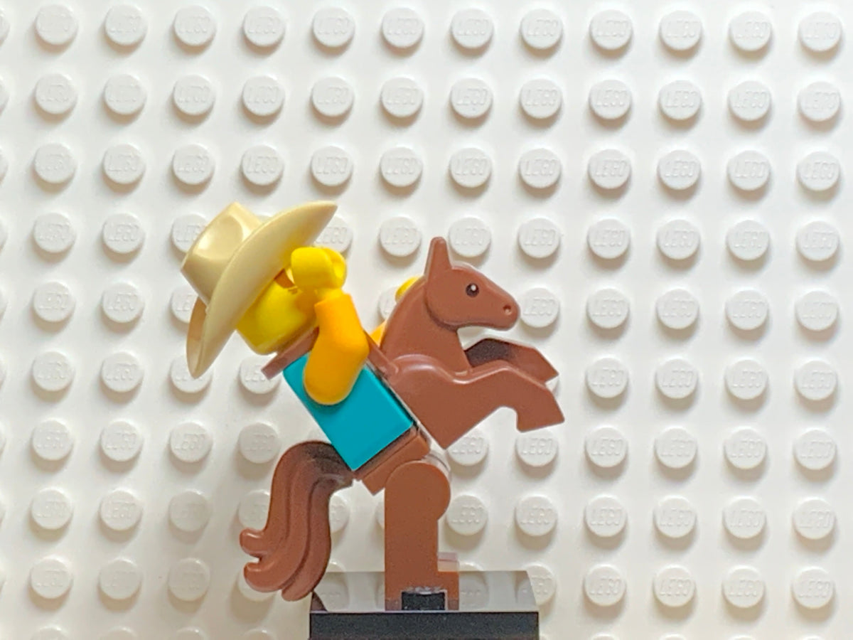 Cowboy Costume Guy, col18-15