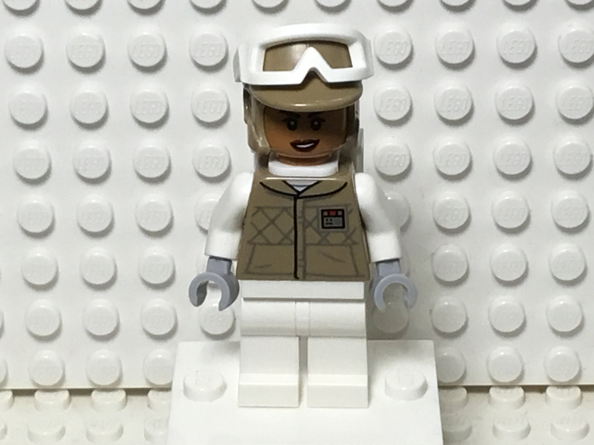 Hoth Rebel Trooper, sw1185